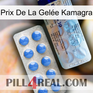 Prix De La Gelée Kamagra 39
